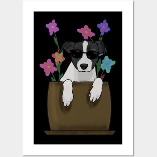 Cool dog in a pot Posters and Art